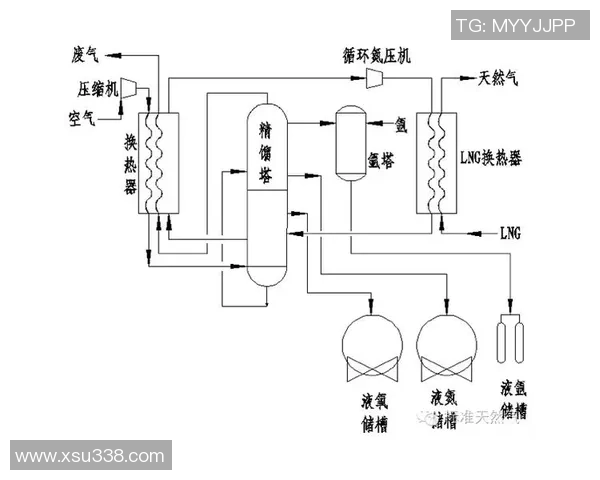 独家深度解析：LNG行业中个人能力的多维度对比与评估