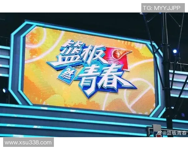 黄磊畅谈篮球生涯与成长经历的深刻反思与感悟